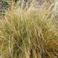 Richard Littauer · CC BY 4.0 · GBIF