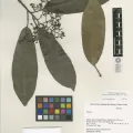 Unknown · CC0 1.0 · GBIF