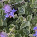 Paweł Sadkowski · CC0 1.0 · GBIF