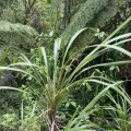 Matt Scott · CC BY 4.0 · GBIF