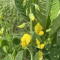Becky Dill · CC0 1.0 · GBIF