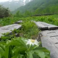 Hector Montero · CC BY 4.0 · GBIF