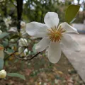 Jiao Sun (孙娇) · CC BY 4.0 · GBIF