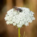 Jonathan Eisen · CC BY 4.0 · GBIF