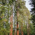 James Fowler · CC BY 4.0 · GBIF