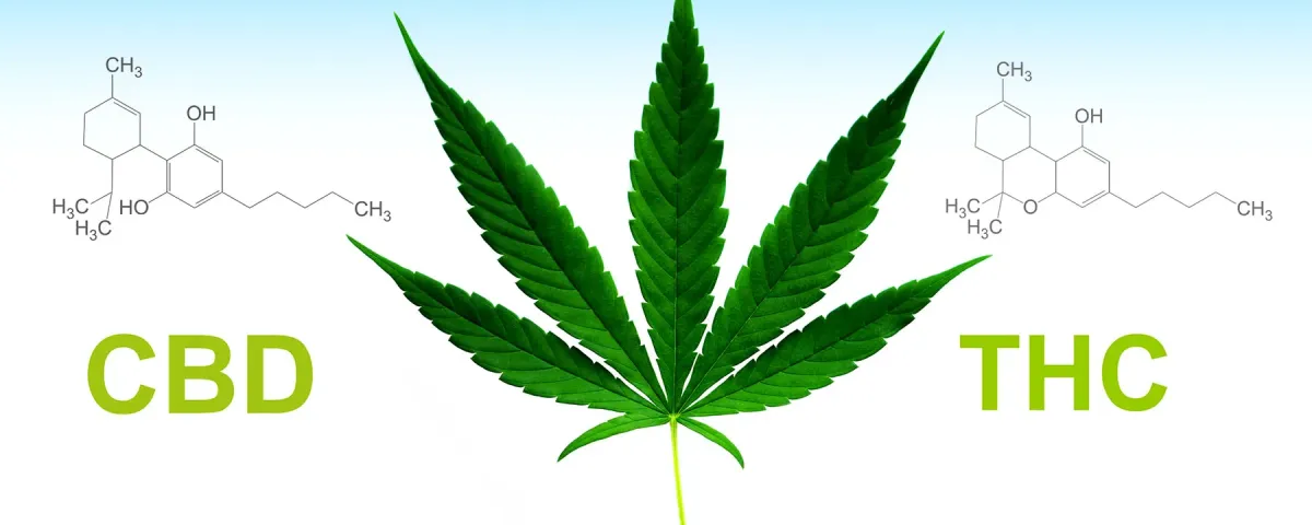 thc_cbd.webp?zc=1