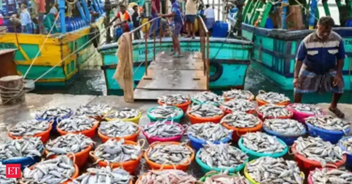 Индия создает специализированные зоны для экспорта морепродуктов