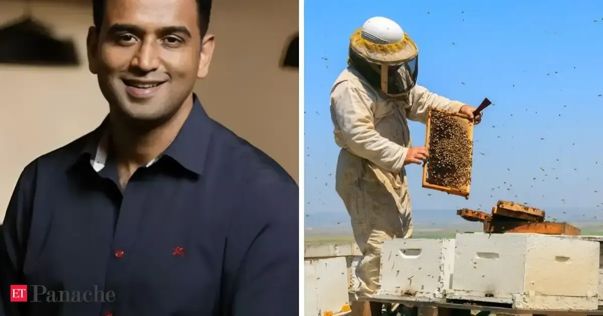Пчелиные ульи повышают урожайность: опыт Zerodha и Akshayakalpa