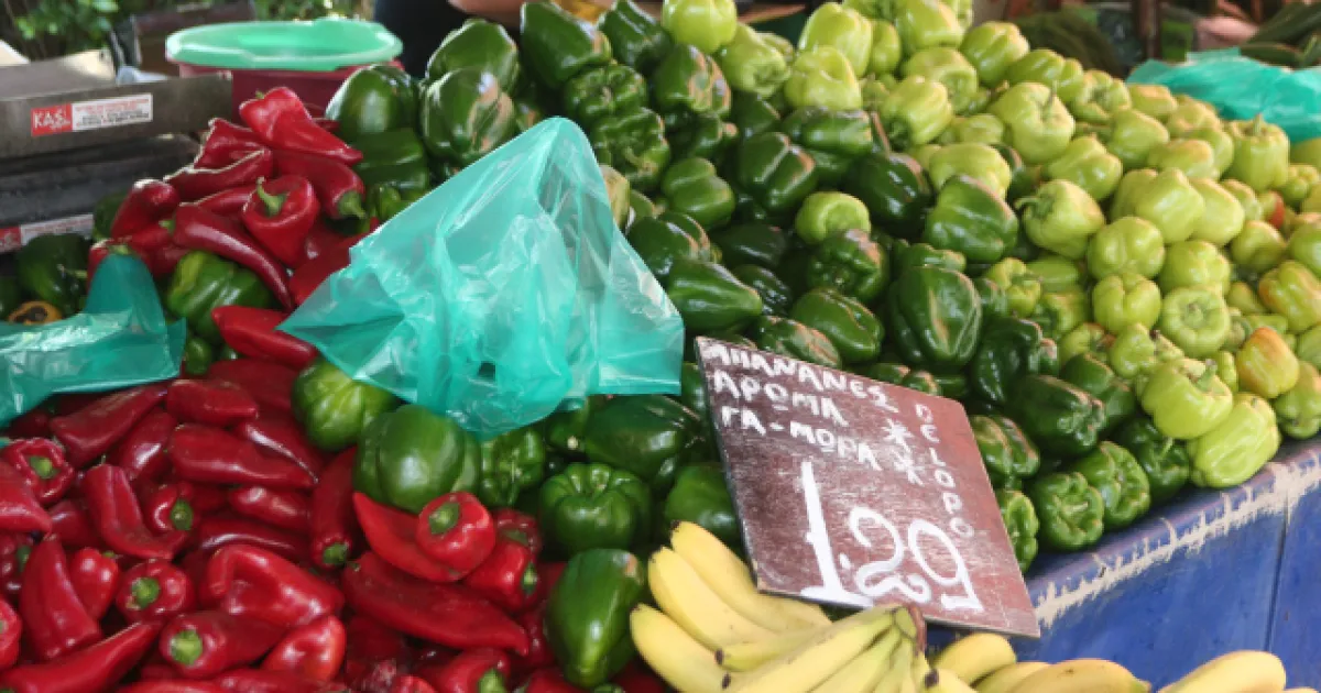Новые правила цифровых накладных для сельхозпродукции в Греции: кого коснутся изменения