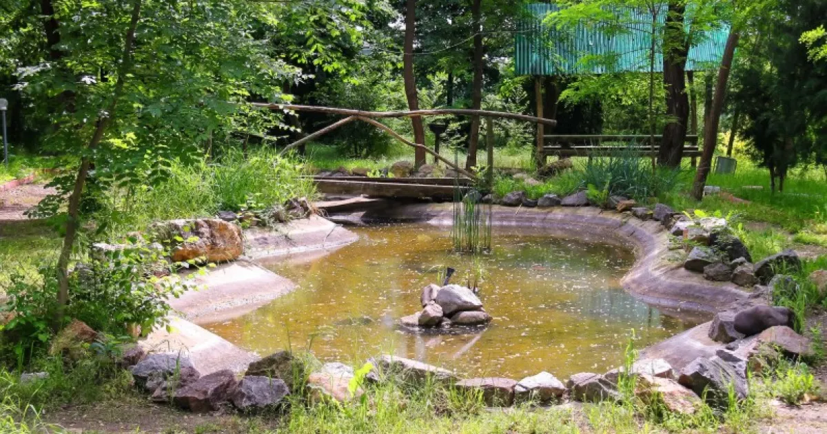 Геомембрана для водоемов: как предотвратить утечку воды и сохранить экосистему