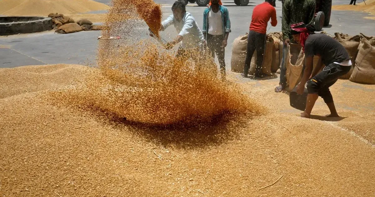 USDA ожидает экспорт пшеницы из Индии на уровне 2 млн тонн