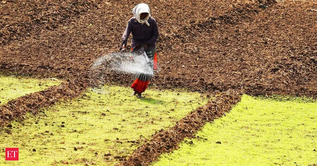 Индия готовит привязку продаж удобрений к AgriStack для точного контроля субсидий