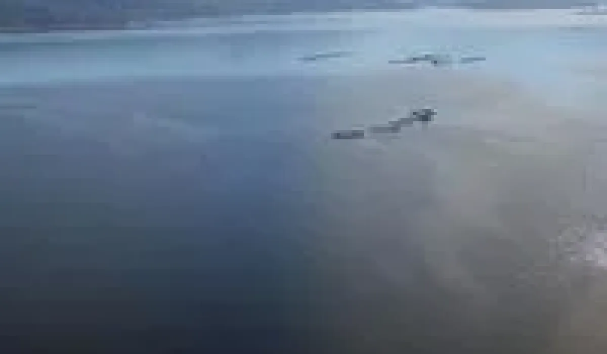Турция готовит водный закон с тюремными сроками за загрязнение подземных вод и незаконные скважины