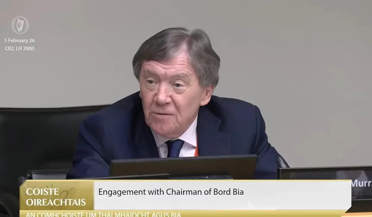 Проверка управления Bord Bia поддержала председателя на фоне спора из-за бразильской говядины