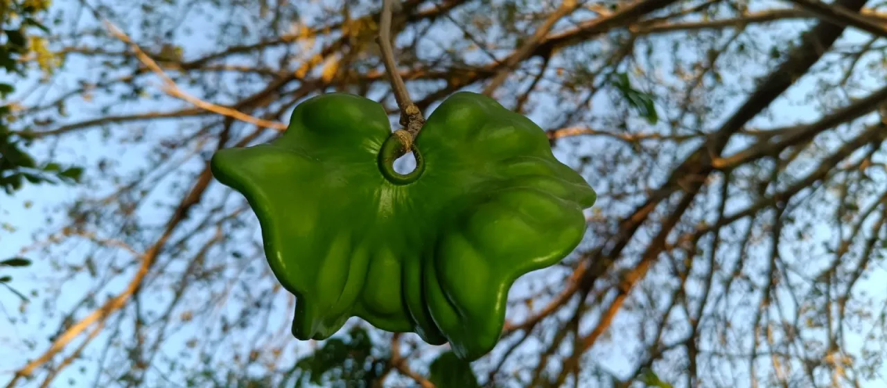 Guanacaste