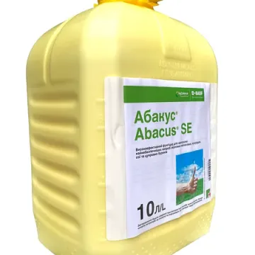 Фабиус