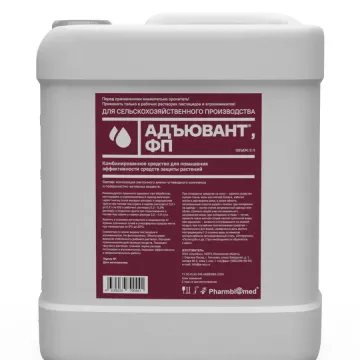 Попиз