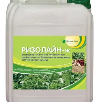 Ризолайн