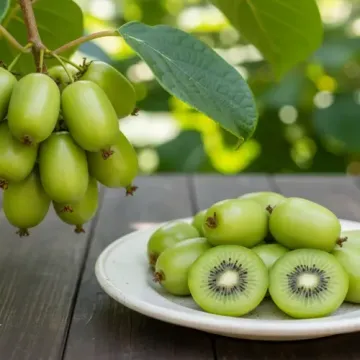 Караваивская урожайна