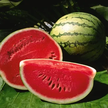 Арсенал