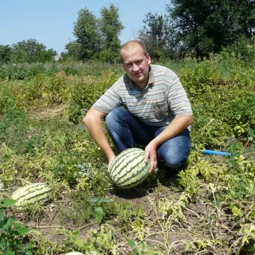 Ажур Свит