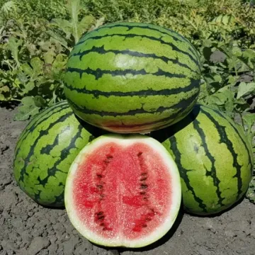 Старт