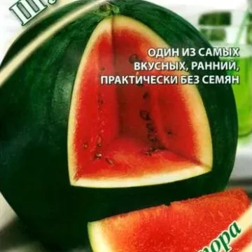 Швидкий