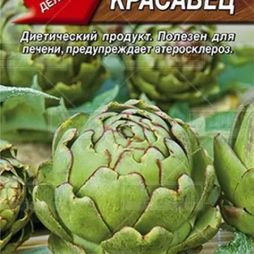 Красавец
