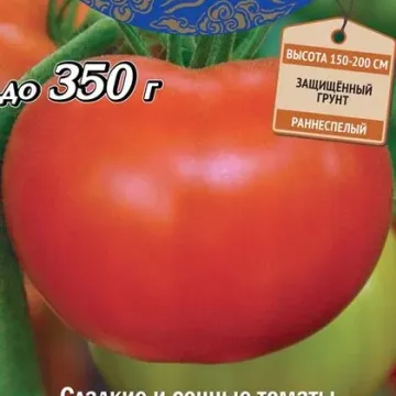 Коралловый РИФ