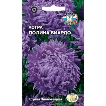 Поліна / Поліна
