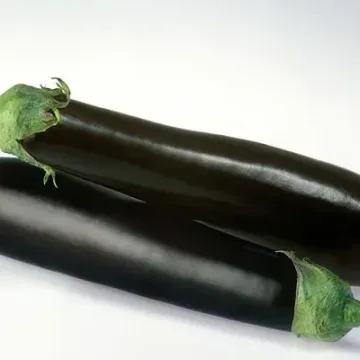 Соломон
