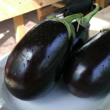 Боцман