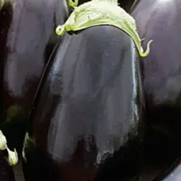 Бычок