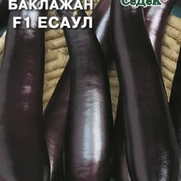 Есаул