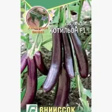 Котильон