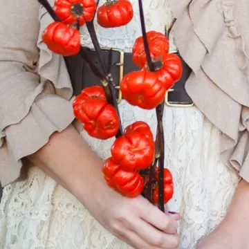 RED DECOR