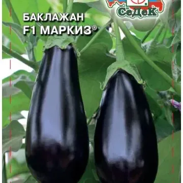 Маркиз