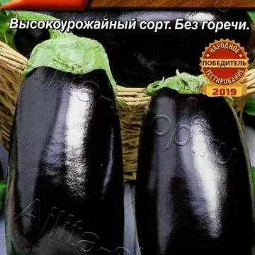 Мишутка