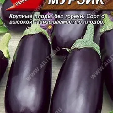 Мурзик