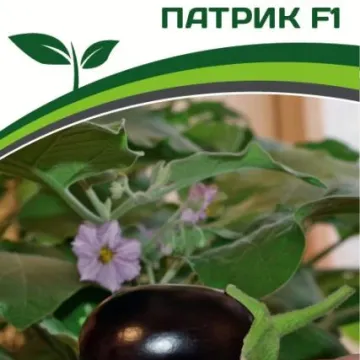 Патрик