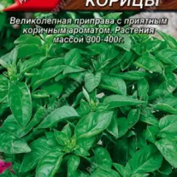 Аромат Корицы