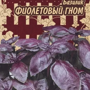Гном