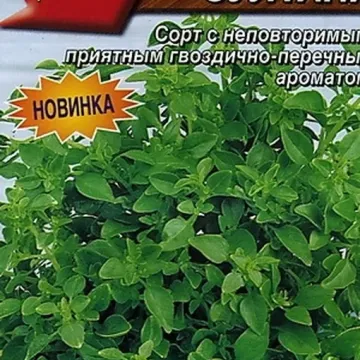 Грёзы Султана