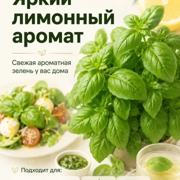 Восторг