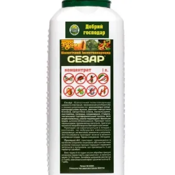 Сезар