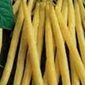 Карсон