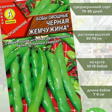 Черная Жемчужина