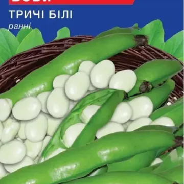 ГЛ Арабелла
