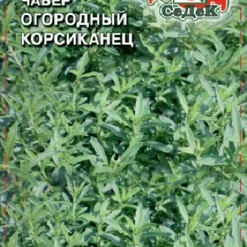 Корсиканец