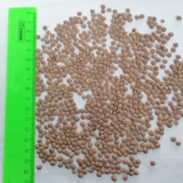 Лира